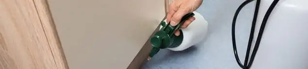 Bed bug exterminator treating baseboards and cracks with targeted spray in Bellevue, WA