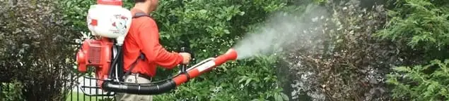 Mosquito control technician fogging shrubs and landscaping for mosquito treatment in Bellevue, WA