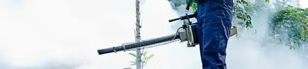 Pest control technician fogging an outdoor area for insect control in Bellevue, WA