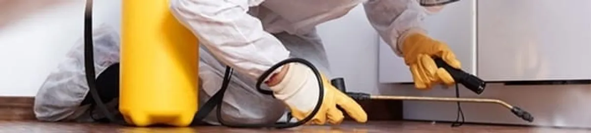 Roach exterminator treating cracks and crevices along kitchen baseboards in Bellevue, WA