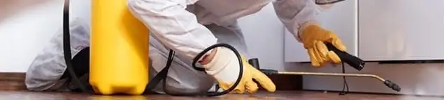 Roach exterminator treating cracks and crevices along kitchen baseboards in Bellevue, WA