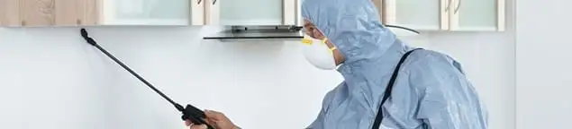 Termite treatment technician applying indoor pest control spray in Bellevue, WA